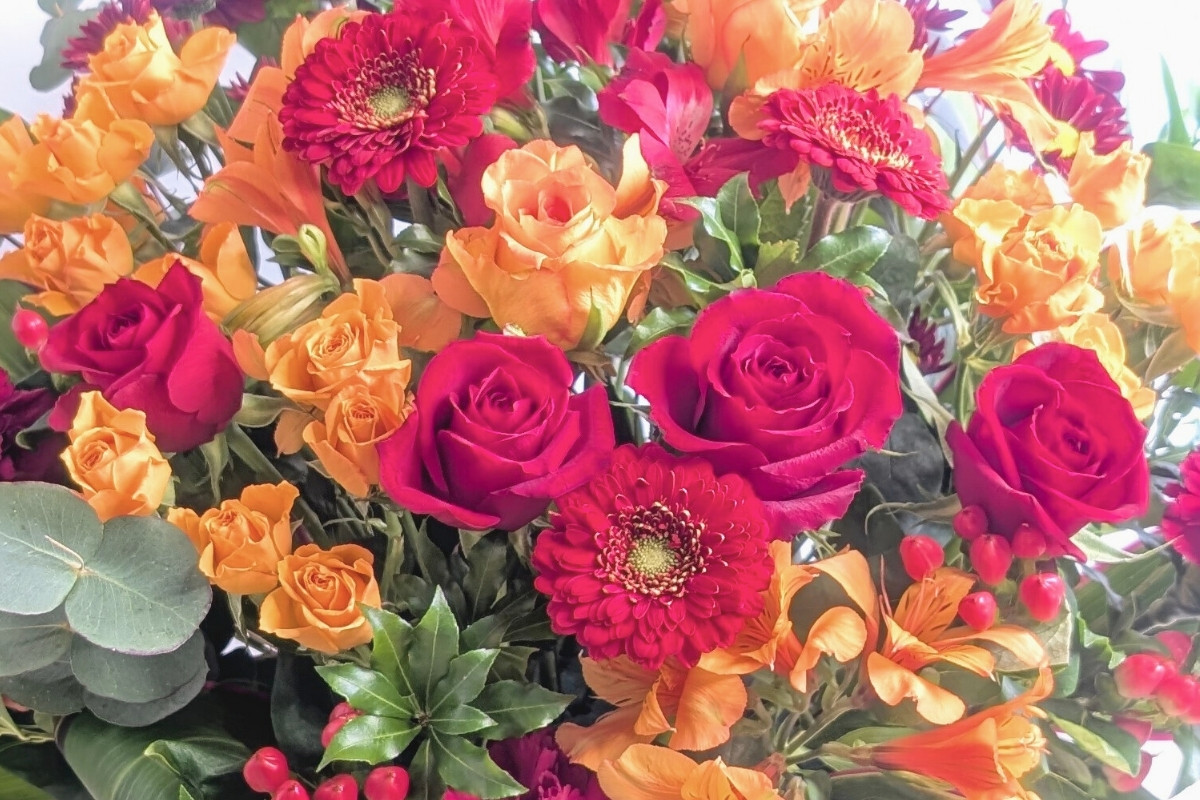 クリムゾンの花ギフト