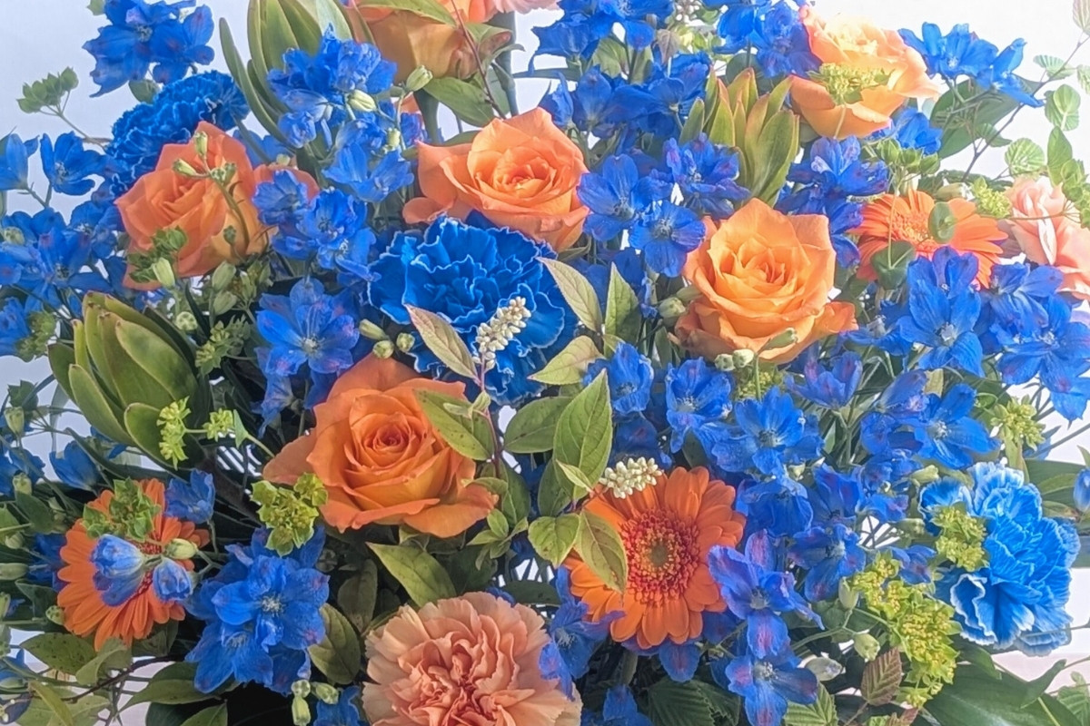 フォーカスの花ギフト