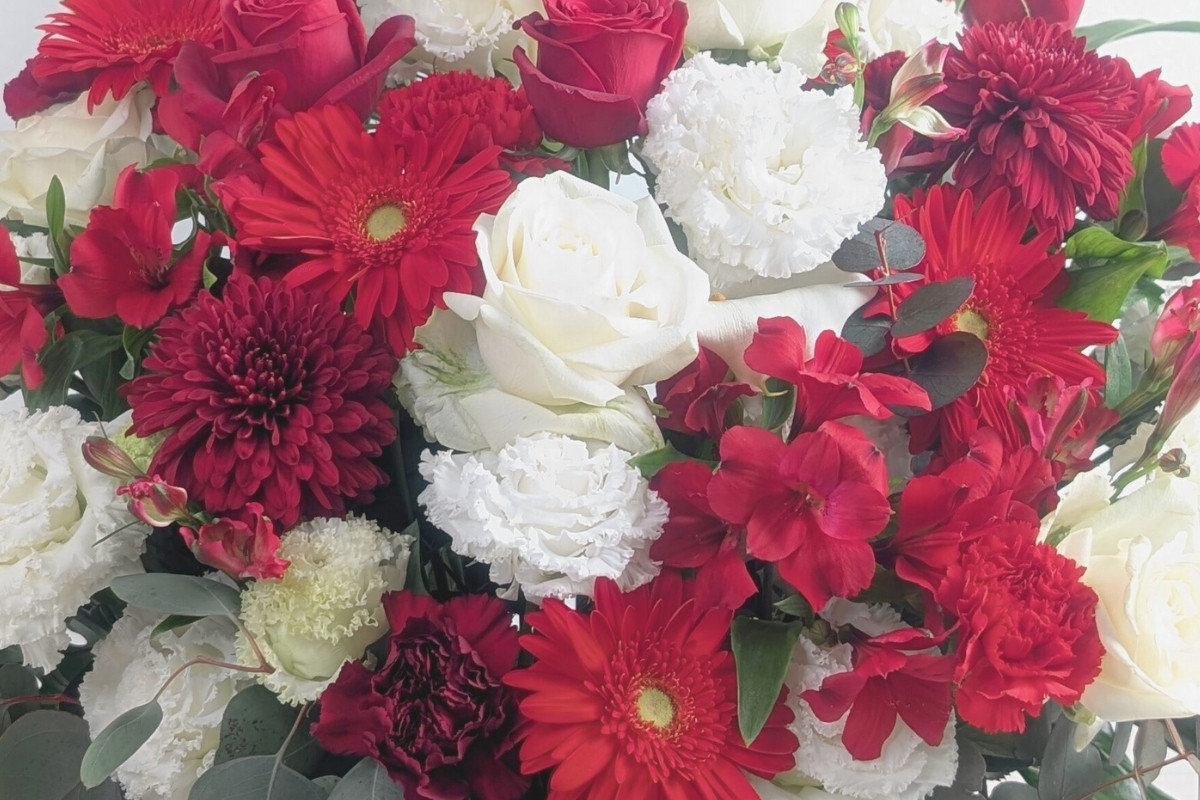 紅白の花ギフト。ことぶきの花束
