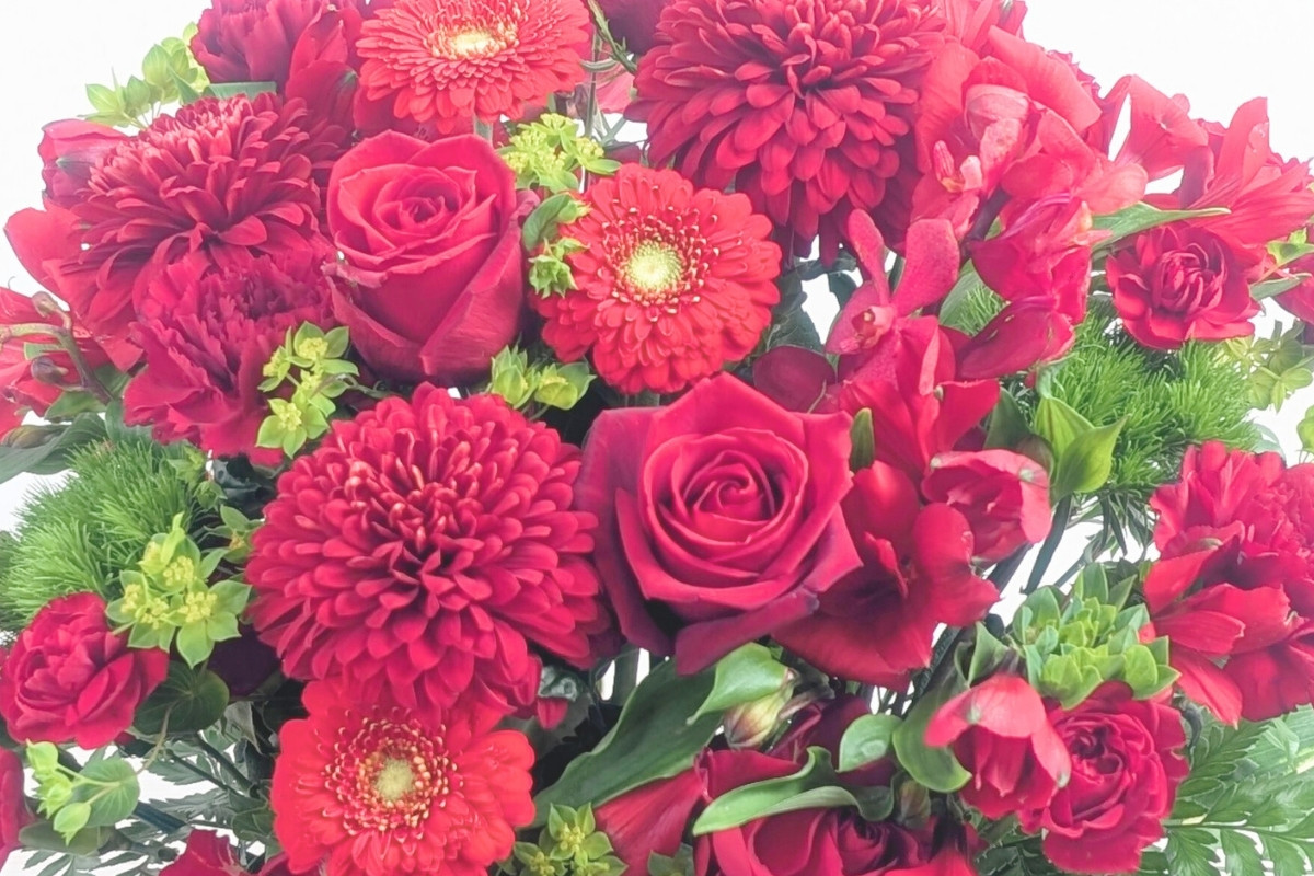 スカーレットの花ギフト