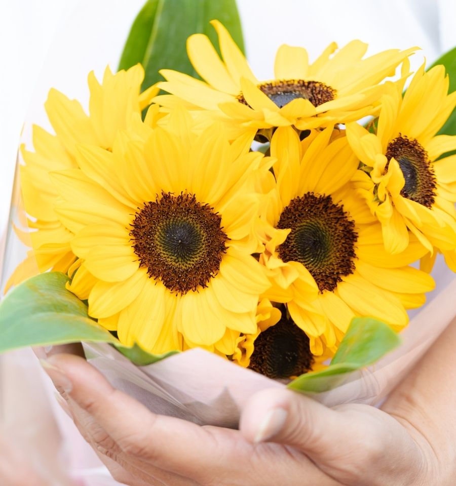 ひまわりギフト ひまわり花束 ひまわりプレゼントフラワーギフト通販。誕生日の花束、記念日のお花の全国発送。