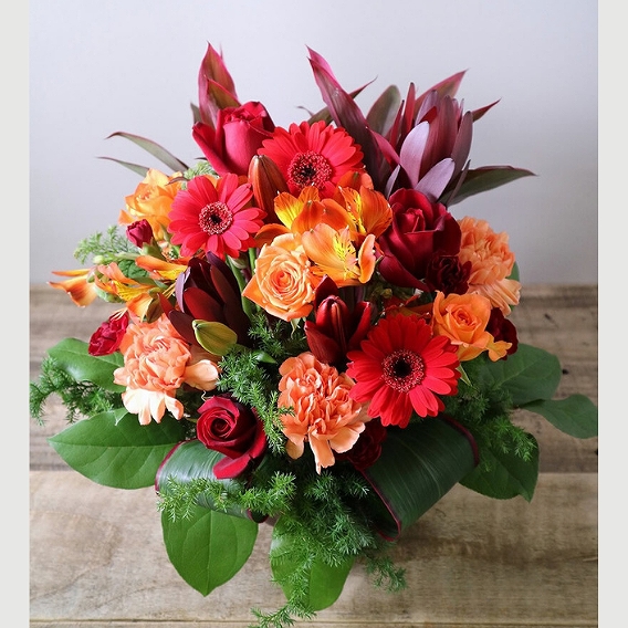 フラワーギフト お花のプレゼント　お祝いの花　ビジネスの花　胡蝶蘭