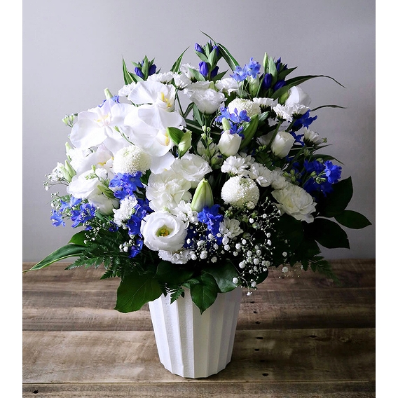 誰もが引き寄せられる青い花