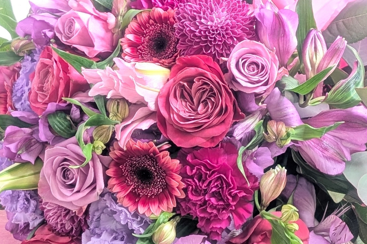 ヴィオラの花ギフト