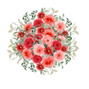 記念バラ・プロポーズ