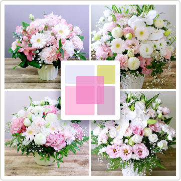 お祝い花、お供え花にも人気の 淡いピンク「さくらいろ」。おしゃれな花束、フラワーギフトに人気です。