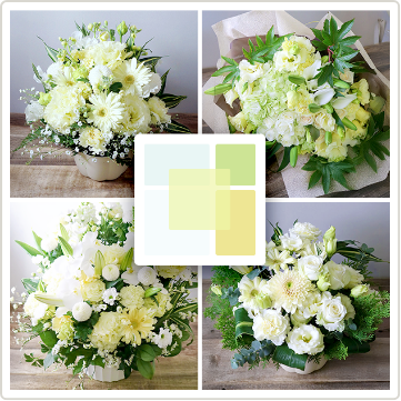 柔らかな印象のクリームイエロー「きなり」｜優しさを添える花束・アレンジメント