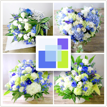 移転祝い、就任祝いに人気。希少な青い花「インディゴ」と白い花の組み合わせた花束、アレンジメント