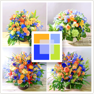 開業祝いや就任祝いの花に最適な青オレンジ「フォーカス」｜強い印象を残す花ギフト
