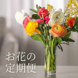 お花のサブスク・お花の定期便