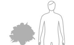 お花・花ギフトの予算 14000円