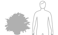 お花・花ギフトの予算 25000円