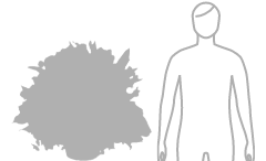 お花・花ギフトの予算 35000円