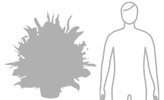 お花・花ギフトの予算 45000円