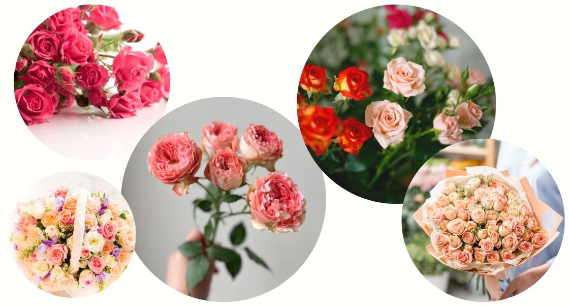 誕生日におすすめの花