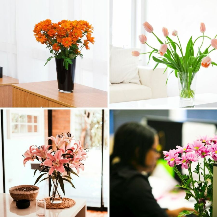 お花の定期便、お花のサブスクです。毎月お花が届くサービス。