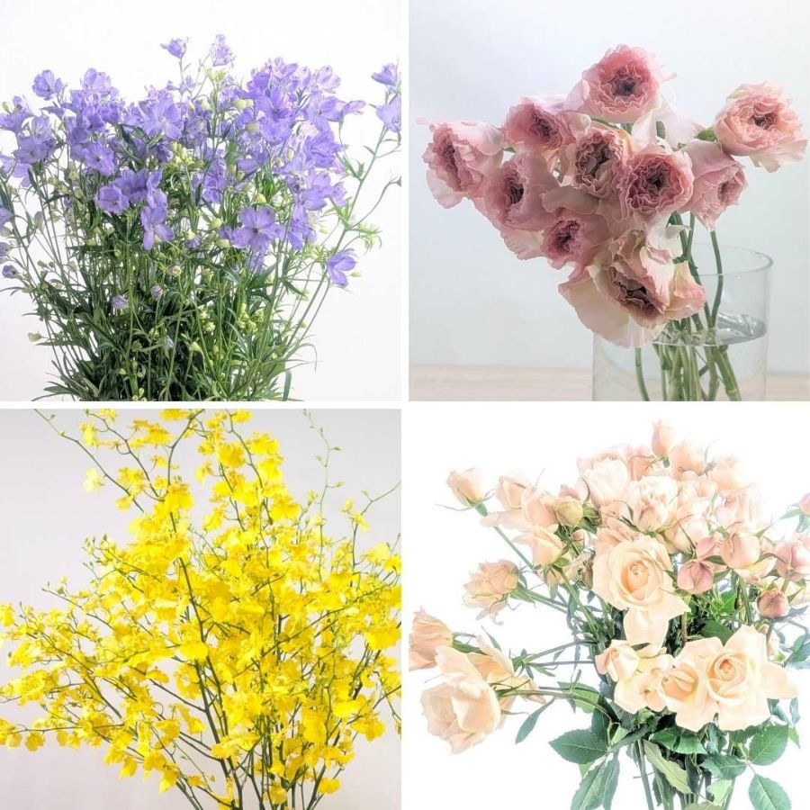 お花の定期便、お花のサブスクです。毎月お花が届くサービス。