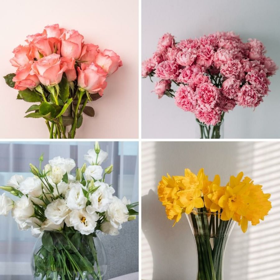 お花の定期便、お花のサブスクです。毎月お花が届くサービス。