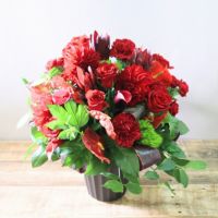 000000002006-01-xs.jpg?t=