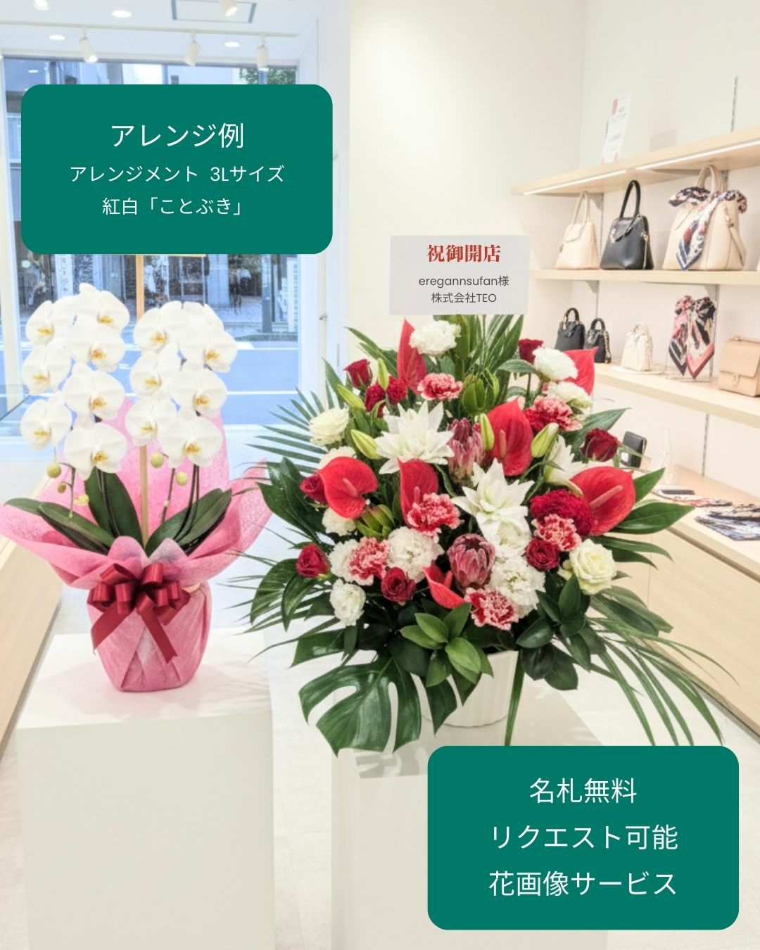 赤色と白色の花束、アレンジメント。お祝い・記念日に贈るお花のプレゼント・贈り物