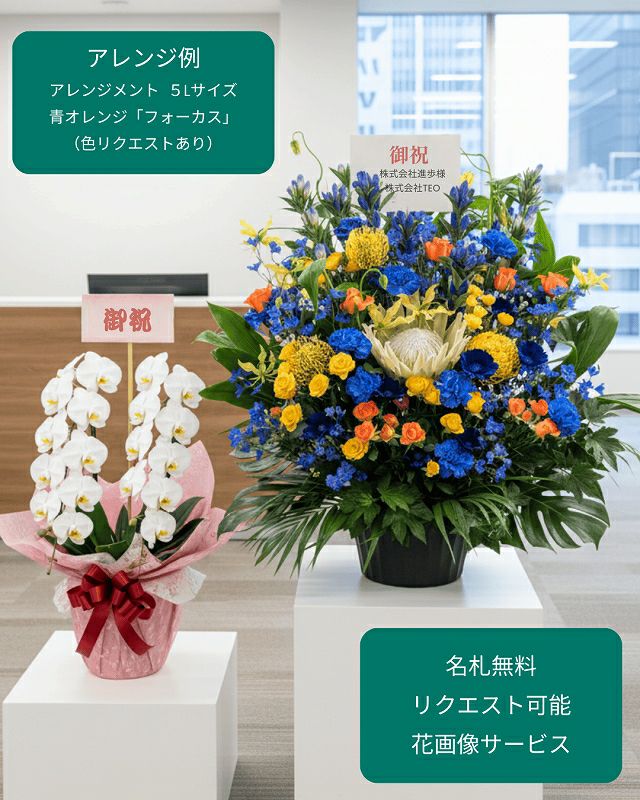【会社 事務所 移転祝い花・ボリューム見栄え◎】アレンジメント 5L