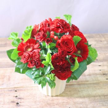 開業祝いのお花。新事務所、事業スタートに贈るお祝いアレンジメント・花ギフト