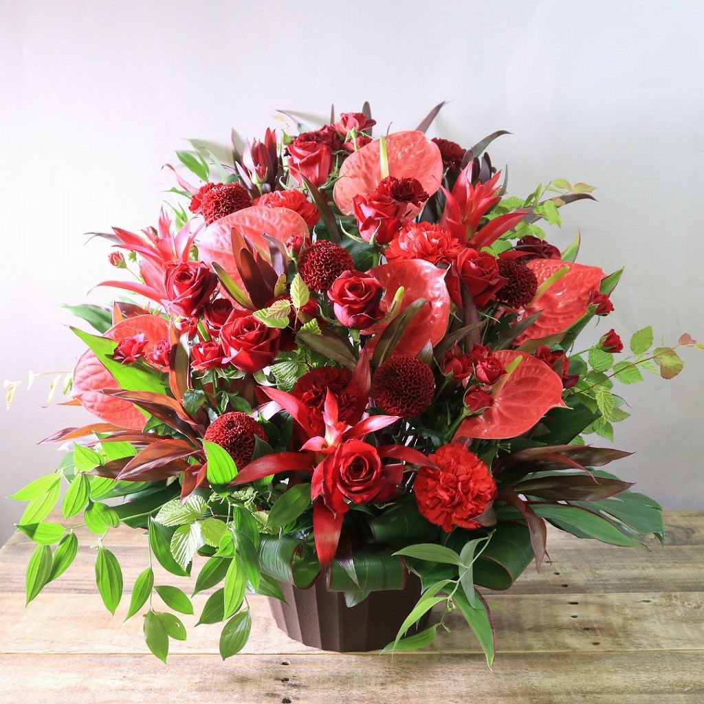 出版祝いの花ギフト・ボリューム感◎】見ごたえあるアレンジメント 2L