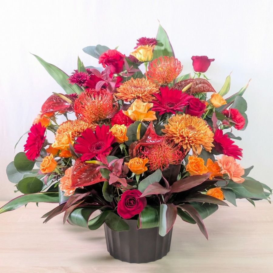 出版祝いのお花。サイン会、会場、作家さん、漫画家さんに贈る、出版、上梓のお祝いに贈る花ギフト