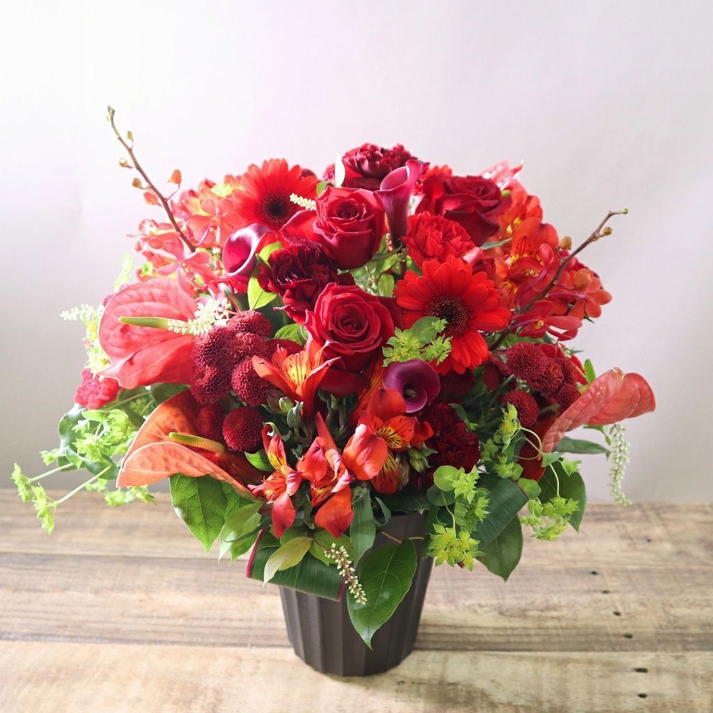 出版祝いのお花。サイン会、会場、作家さん、漫画家さんに贈る、出版、上梓のお祝いに贈る花ギフト