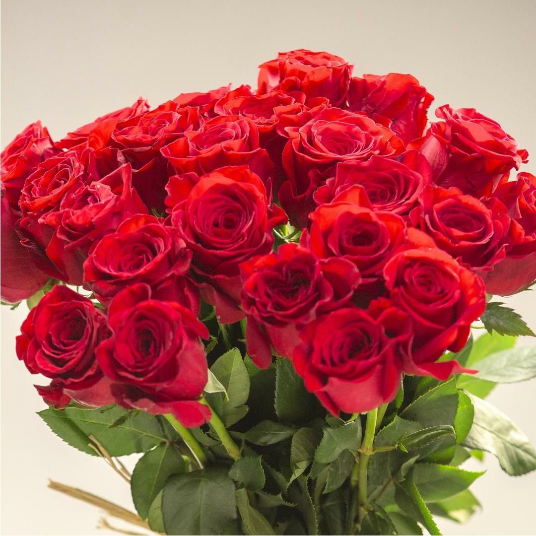 記念の数で贈るバラの花束。50歳、結婚50周年、金婚式に50本のバラを贈ります。