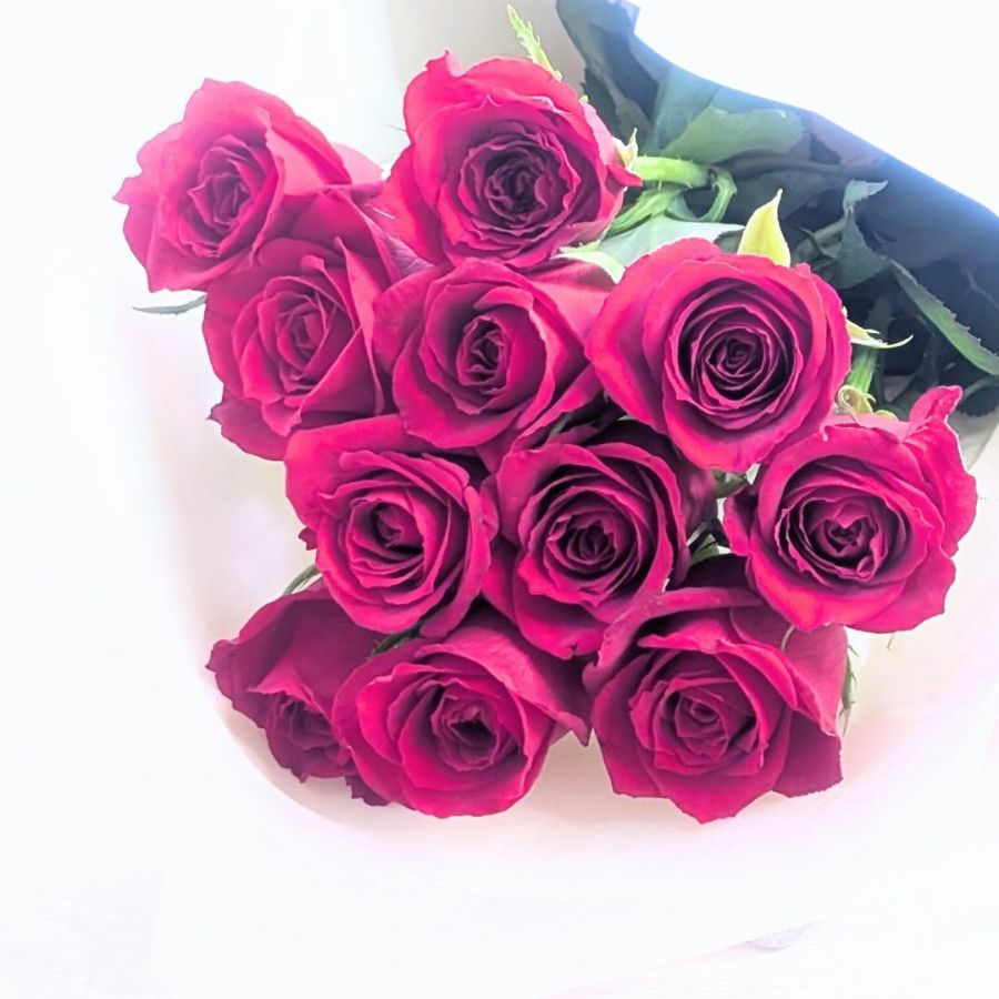 記念の数で贈るバラ。11本のバラの花言葉は「最愛」