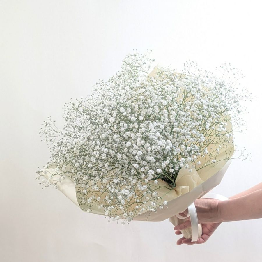 カスミソウの花束、ブーケの贈りもの。カスミソウの花束は「無垢」。