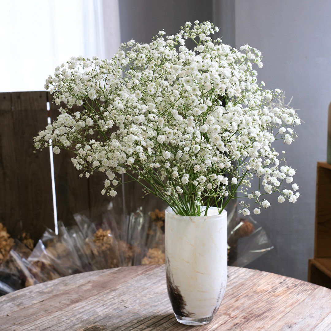 カスミソウの花束、ブーケの贈りもの。カスミソウの花束は「無垢」。