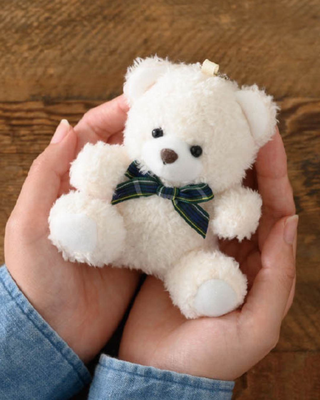 かわいいクマちゃん付のお花。子供のお供え花、優しいお花。贈って喜ばれる生花アレンジメント。