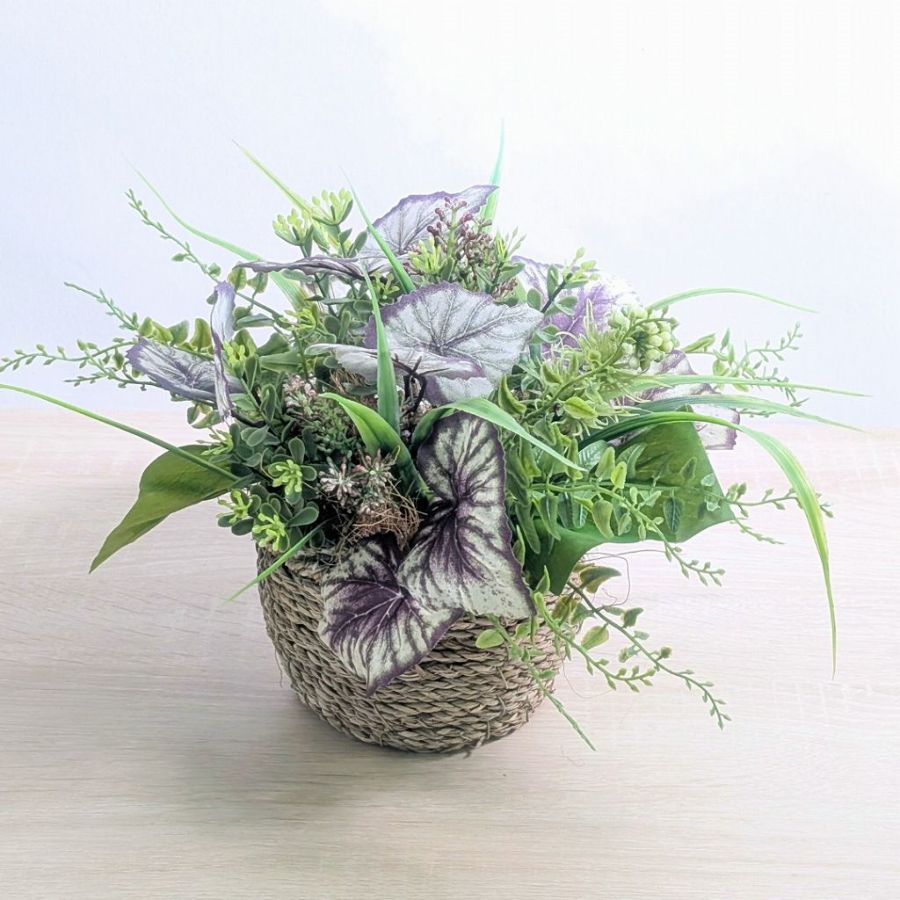 枯れないグリーン　インテリアグリーン