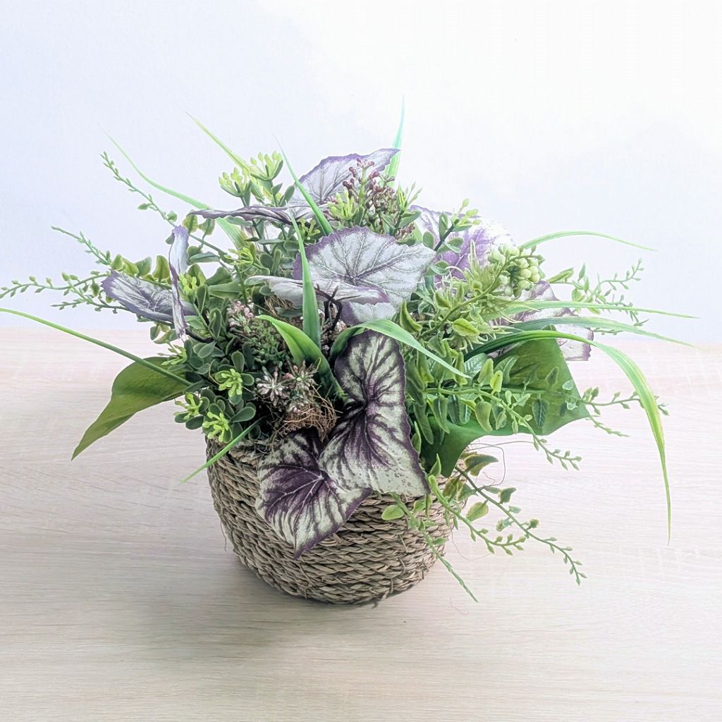 枯れないグリーン　インテリアグリーン