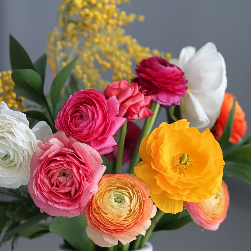 【一種をたっぷり】お花の定期便（切り花）