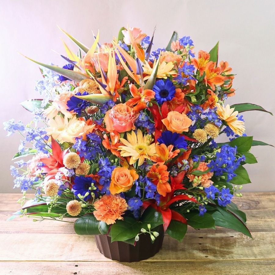 【就任祝い（社長就任・昇進）に贈る花◎迫力満点！】アレンジメント「フォーカス」５L