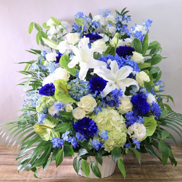 【事務所の移転祝いに贈る】Indigo（インディゴ） 5L