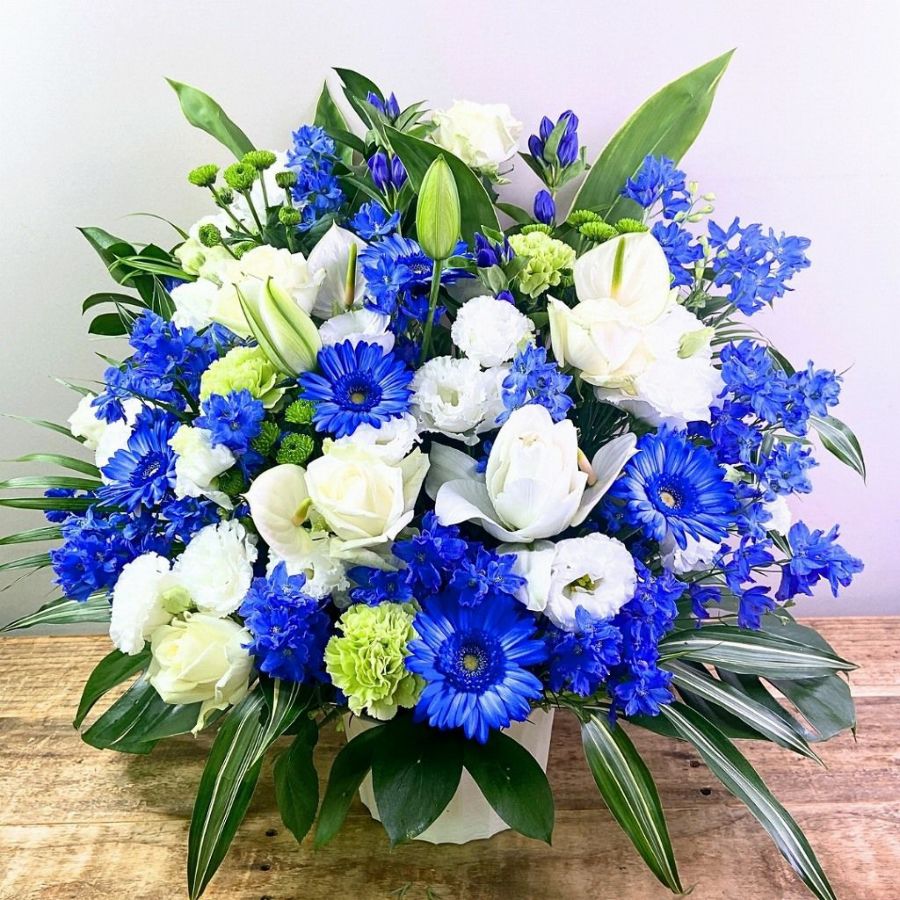 【移転祝いの花・事務所の引越しに贈る】Indigo（インディゴ） 2L