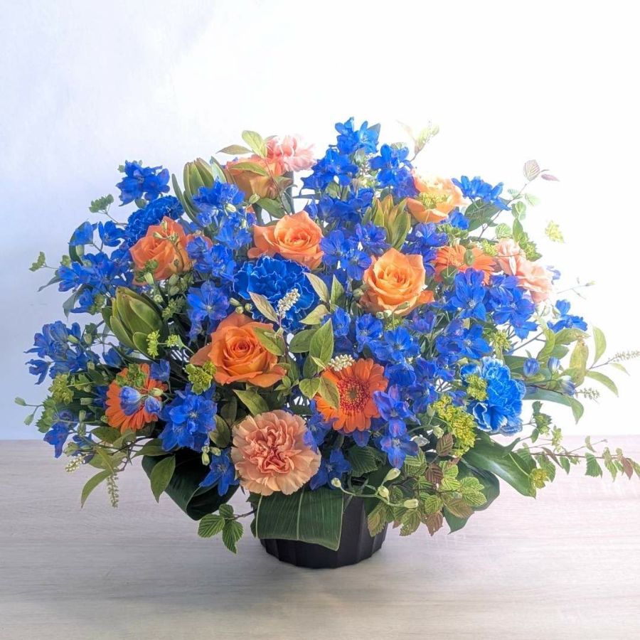 【事務所移転・会社の引っ越しに】お祝い花 Focus（フォーカス） L ｜お花のプレゼント・おしゃれ花束・花ギフト通販｜フラワーギフト 花以想（はないも）
