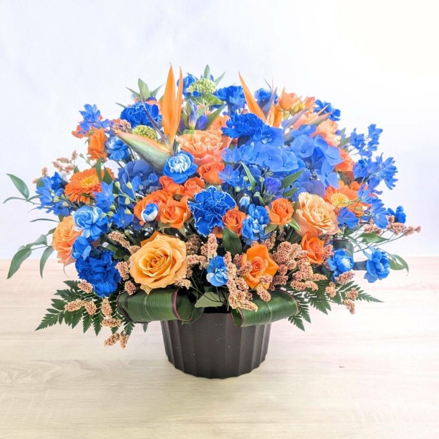 【移転祝いの花・会社の引越し祝いに】Focus（フォーカス） L