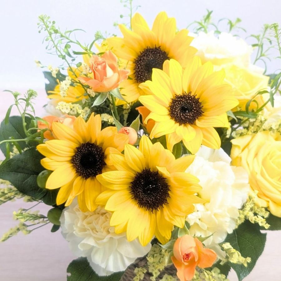 サマーギフト　夏の花ギフト　ひまわりを贈る　ひまわりのプレゼント