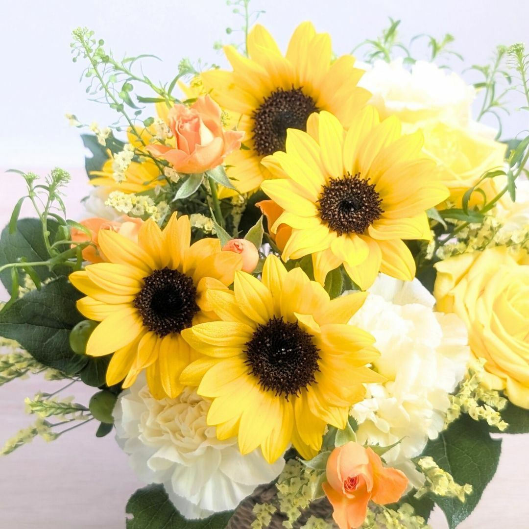 サマーギフト　夏の花ギフト　ひまわりを贈る　ひまわりのプレゼント