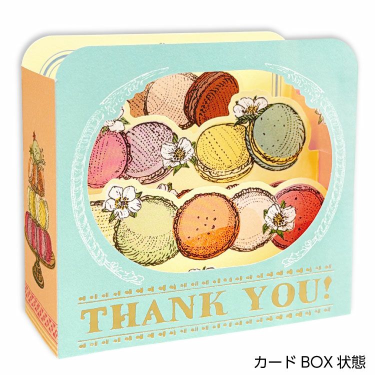 【お花と贈る】いのうえ彩　グリーティングカード　マカロン（thank you）