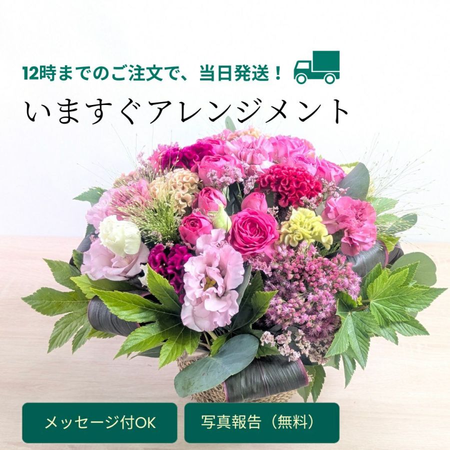 【当日発送・送料込み】フラワーギフト｜上質おまかせアレンジメント〈プレミアム〉
