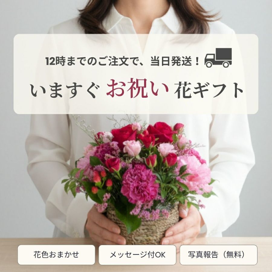 【当日発送・送料込み】フラワーギフト｜上品おまかせアレンジメント〈安心サイズ〉