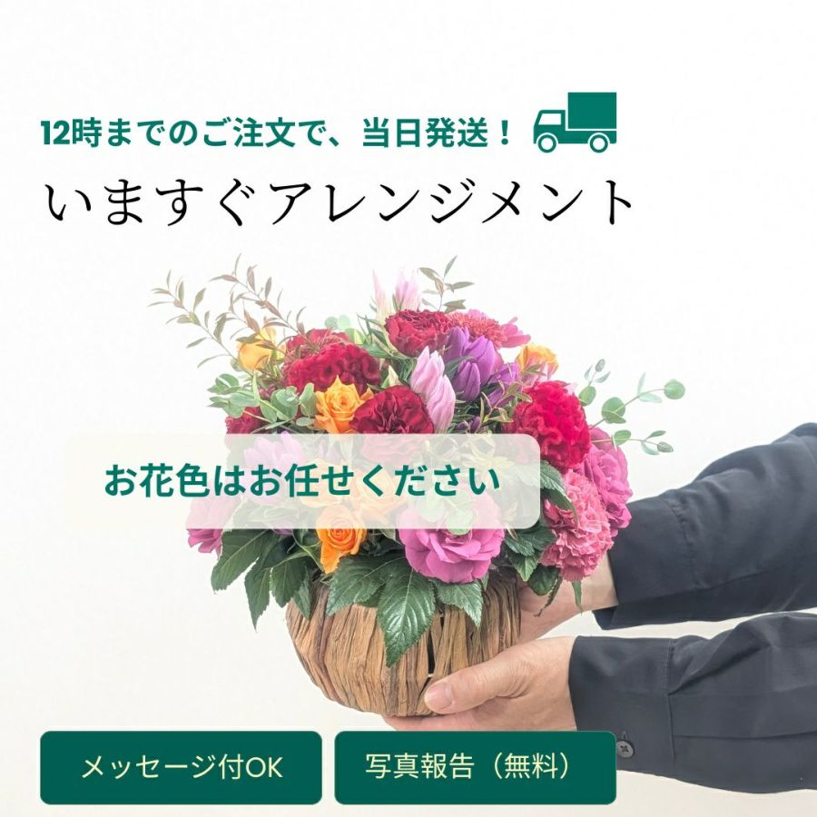 【当日発送・送料込み】フラワーギフト｜上品おまかせアレンジメント〈安心サイズ〉